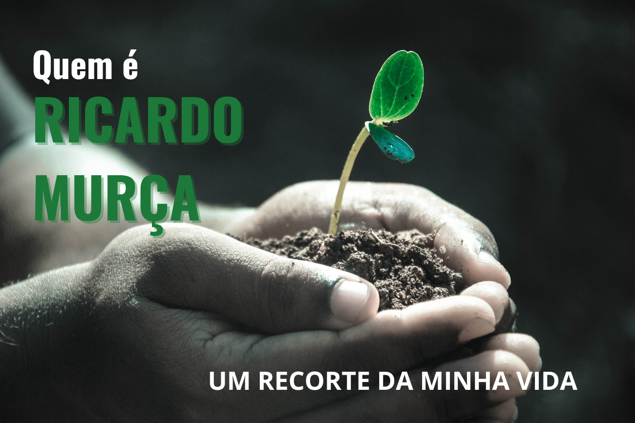 Minha vida